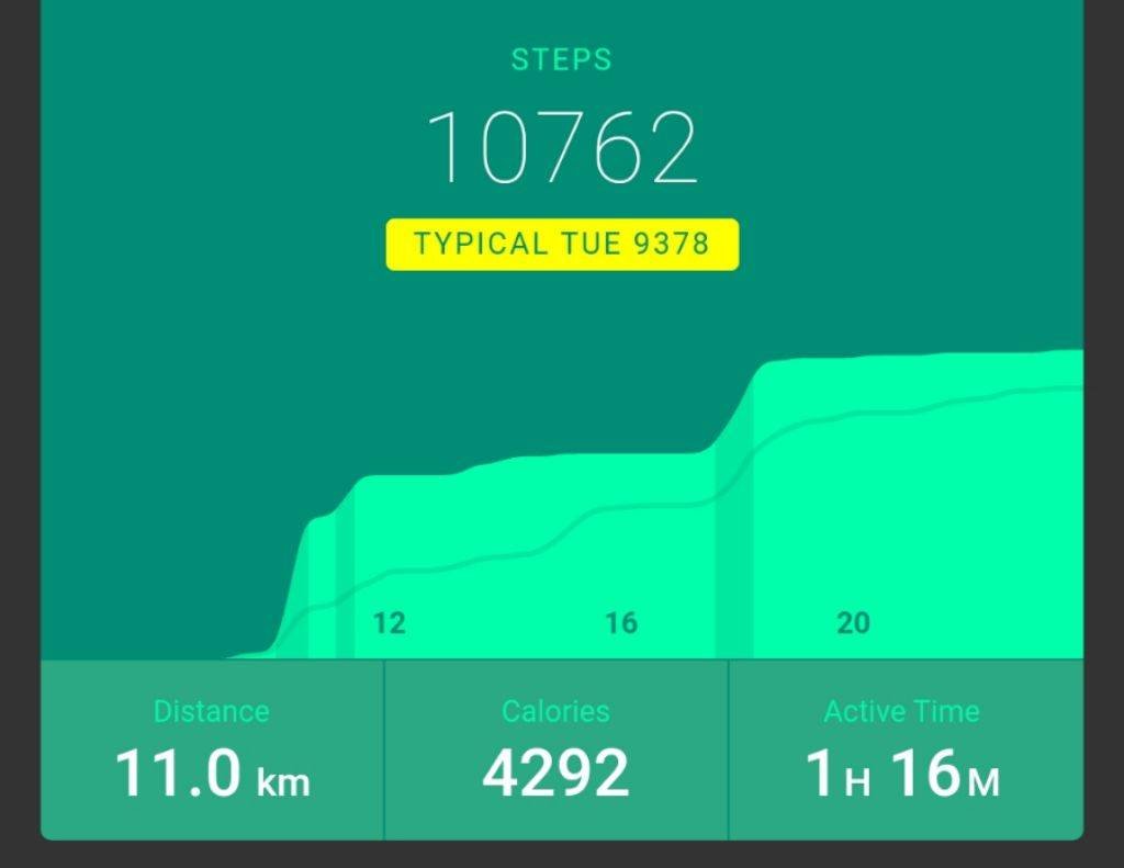 Pebble's smartphone app showing activity data